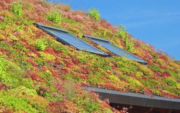 Isallt Bach living roof systems
